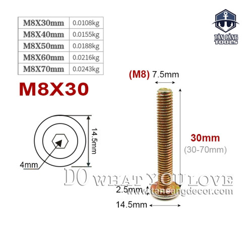 Bulong Lục Giác Chìm M8 x 30 mm – 25 Con